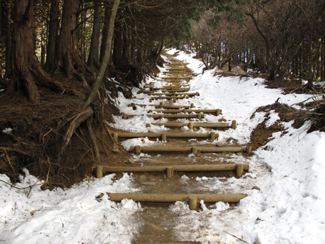 20170118hike (111)
